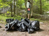 Environmentálny deň