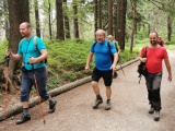 Babia hora