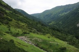 Salatín v Roháčoch