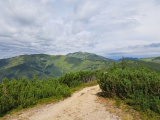 Kráľov stôl, ktorý nakoniec nebol