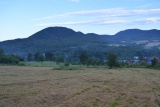 Busov