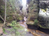 Broumovská vrchovina