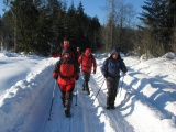 Babia hora