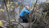 Podskalský Roháč