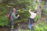 Environmentálny deň