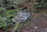 Busov