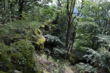 Pohanský hrad a Španí laz