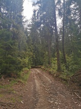 Smrekovica