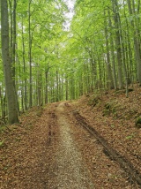 Roháčka