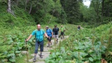 Babia hora