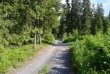 Západné Tatry - Bystrá